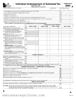 Blank Nebraska 2210N Form